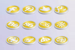 s-icons social media icons coins set preview